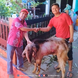  Selamat Merayakan Hari Raya Idul Adha 1445 H
